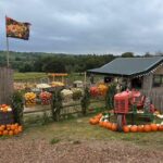 Pumpkins