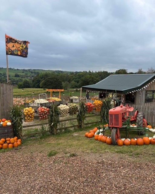 Pumpkins