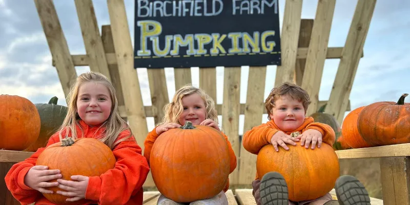 Featured Pumpkin