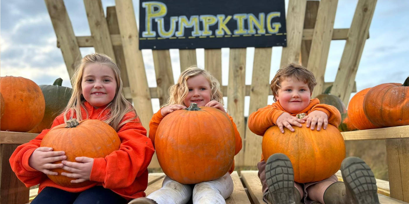 Pumpkins & Halloween