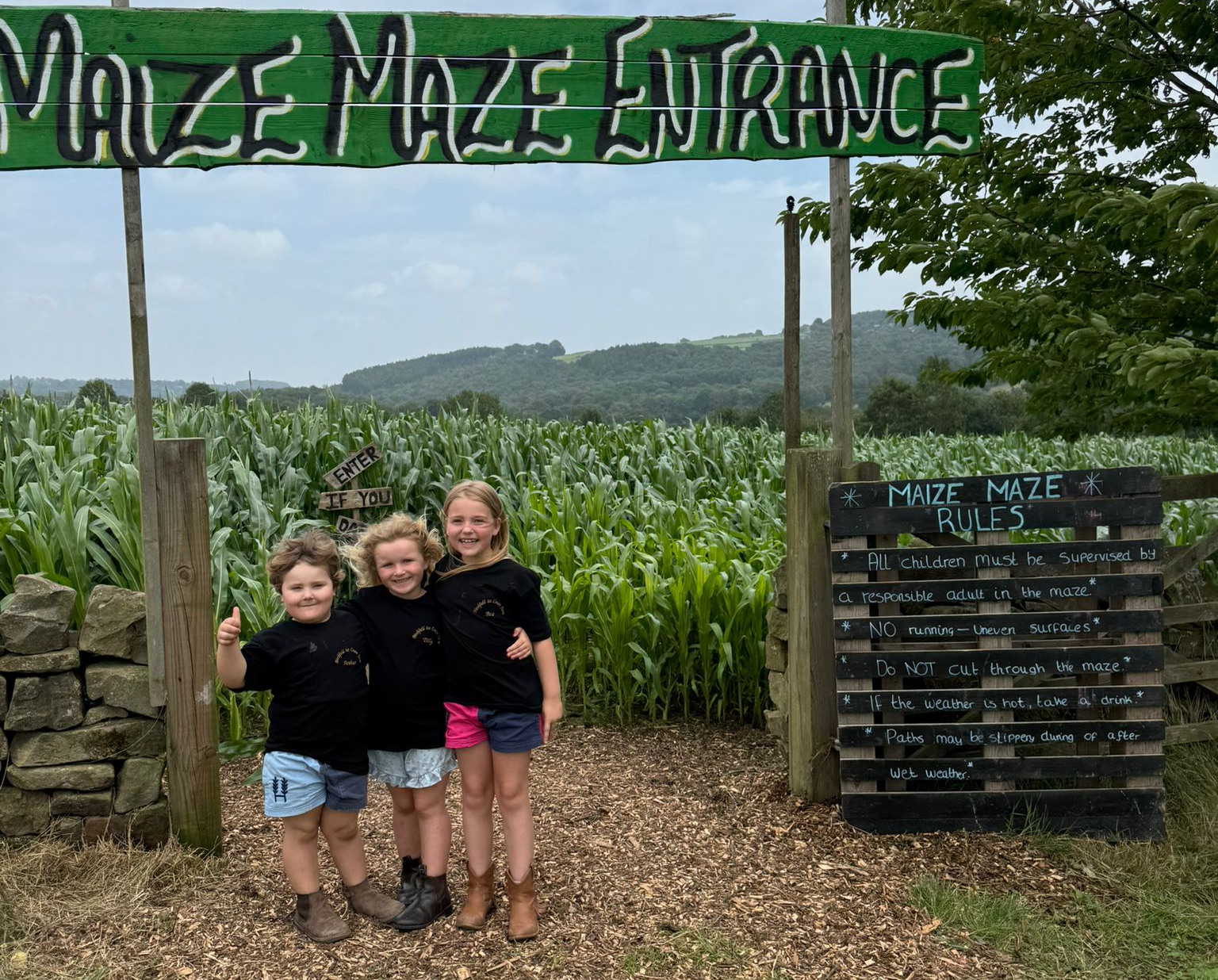 Maize Landscape 2