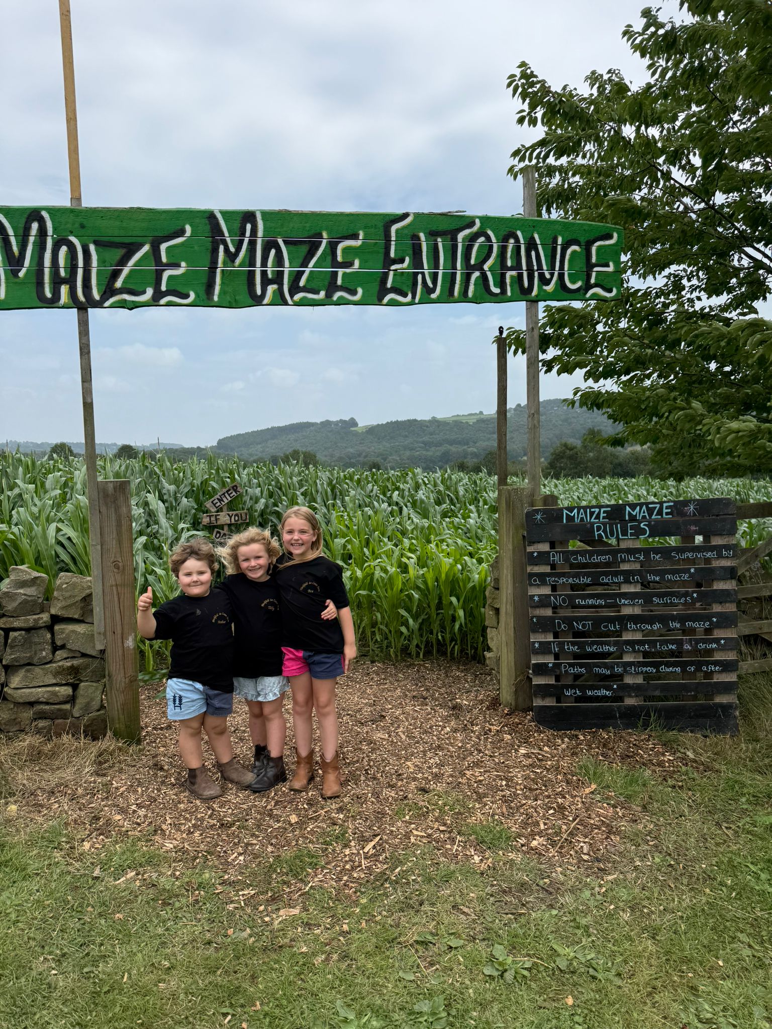 Maize Portrait 3