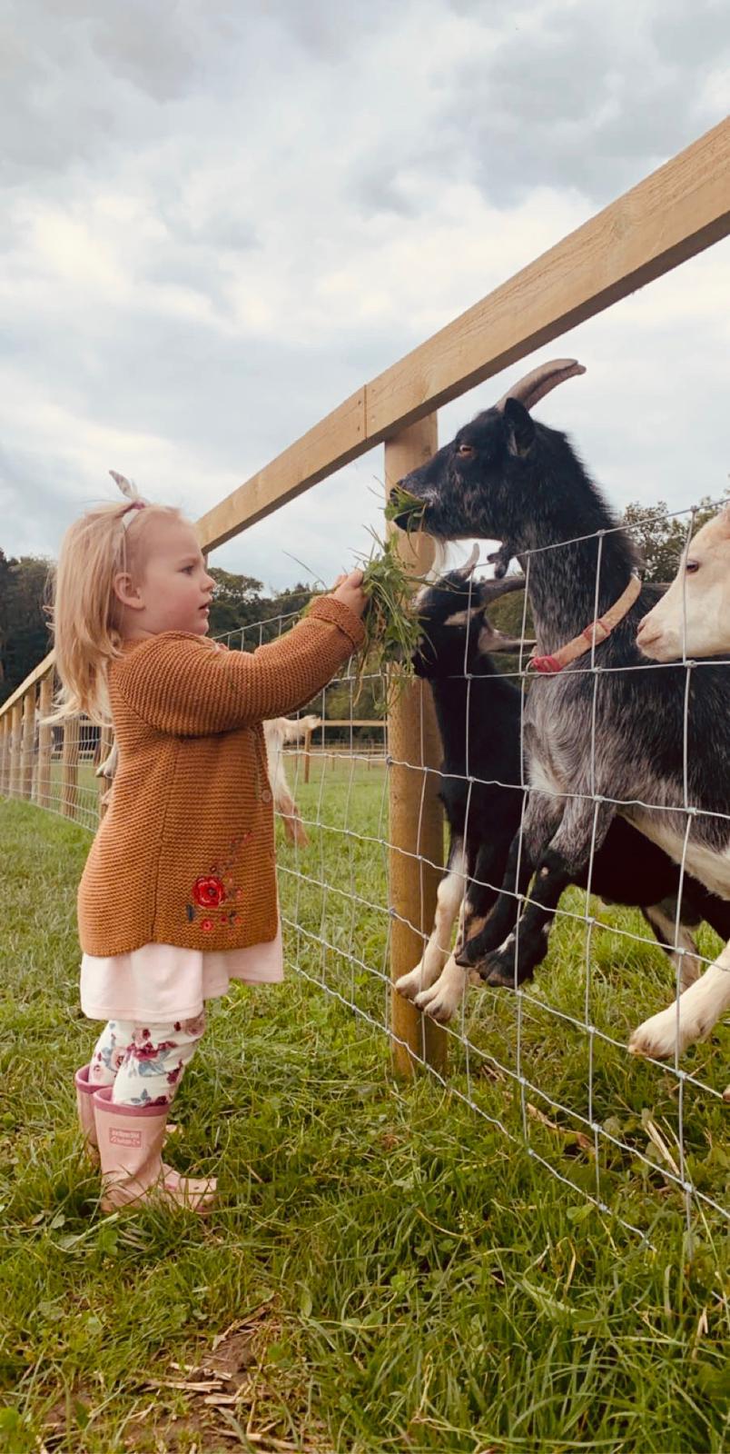 Our Farm Portrait 1
