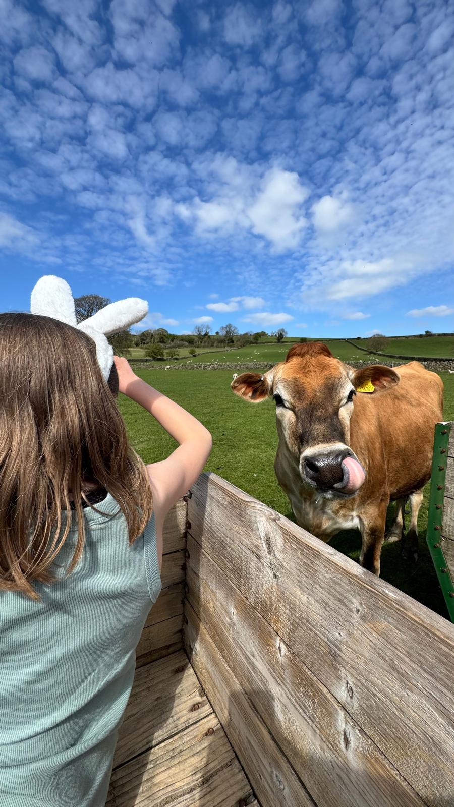 Our Farm Portrait 3