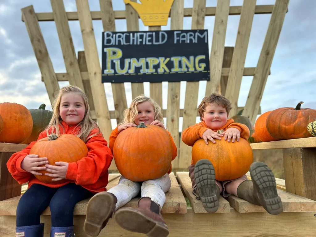 Pumpkin Landscape 2