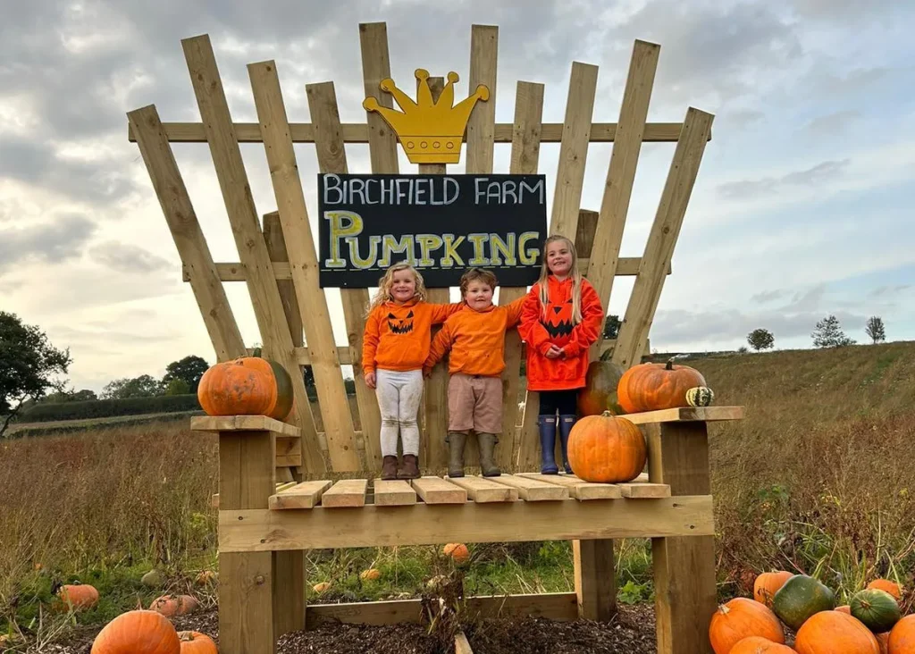 Pumpkin Landscape 3