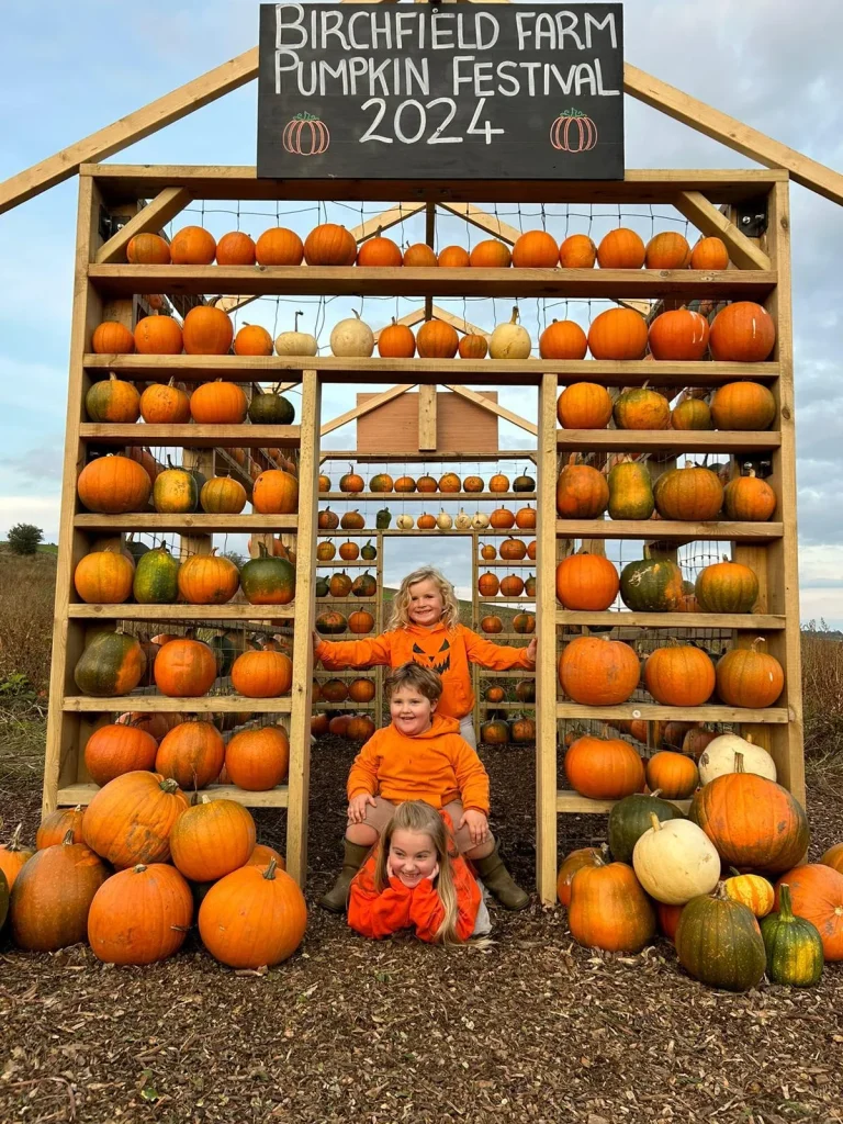 Pumpkin Portrait 3