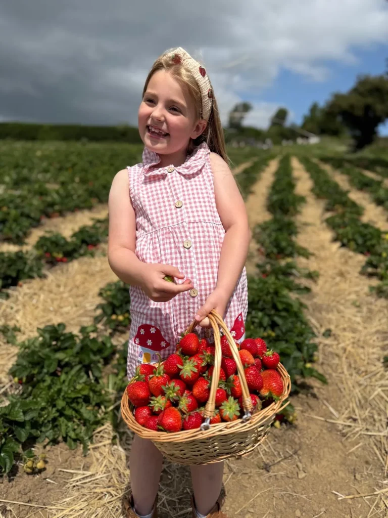 Strawberries Portrait 1