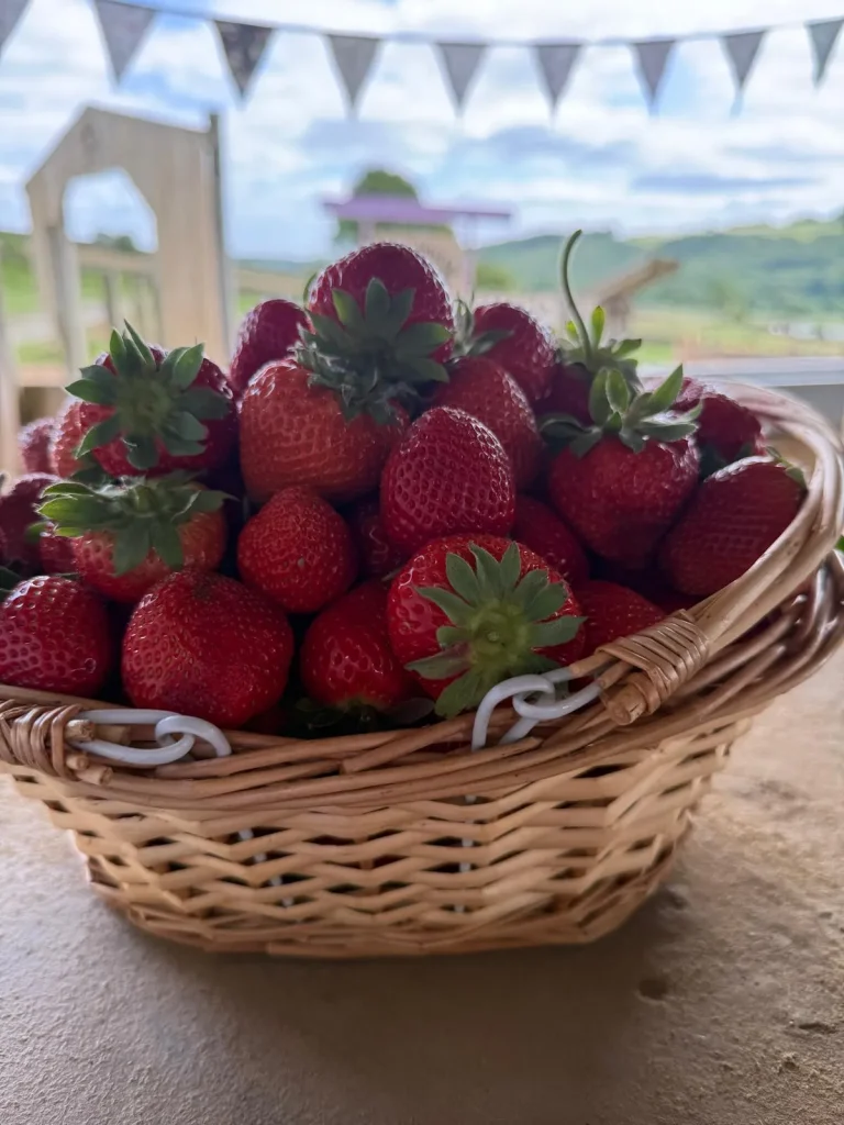 Strawberries Portrait 2