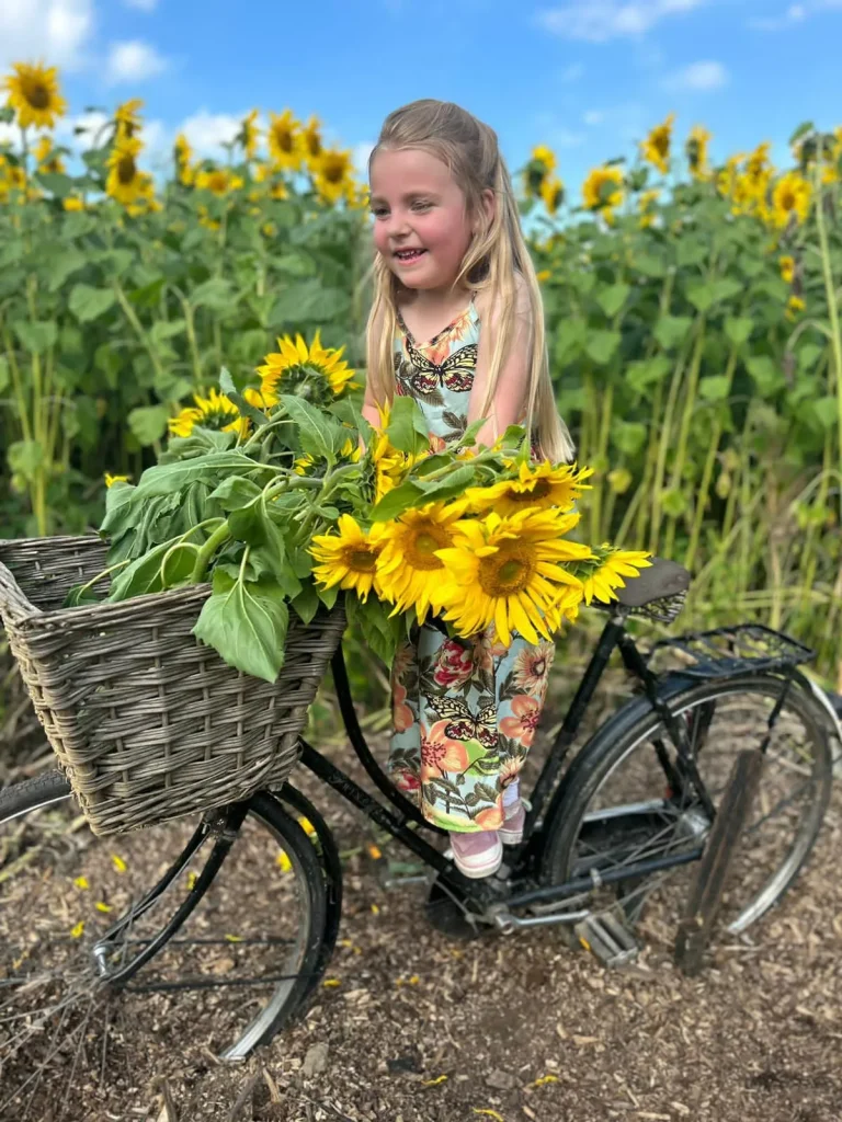 Sunflowers Portrait 1