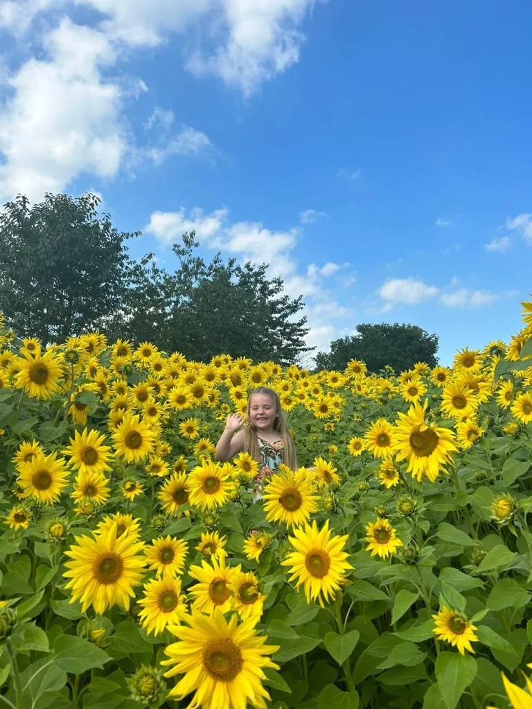 Sunflowers Portrait 2