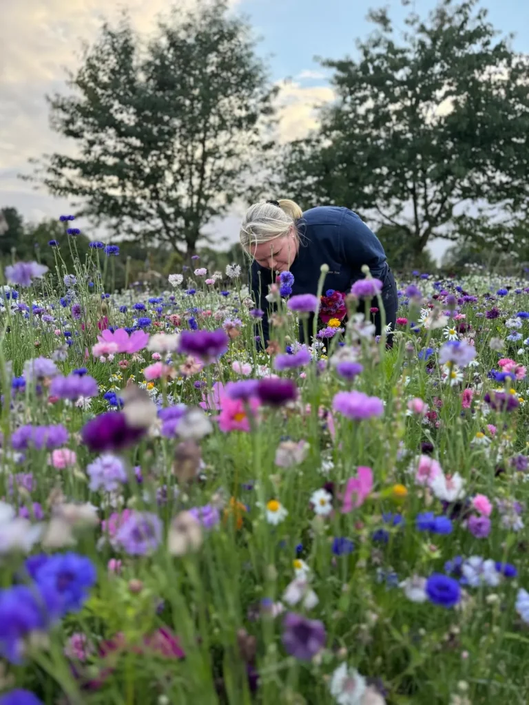Wildflowers Portrait 1